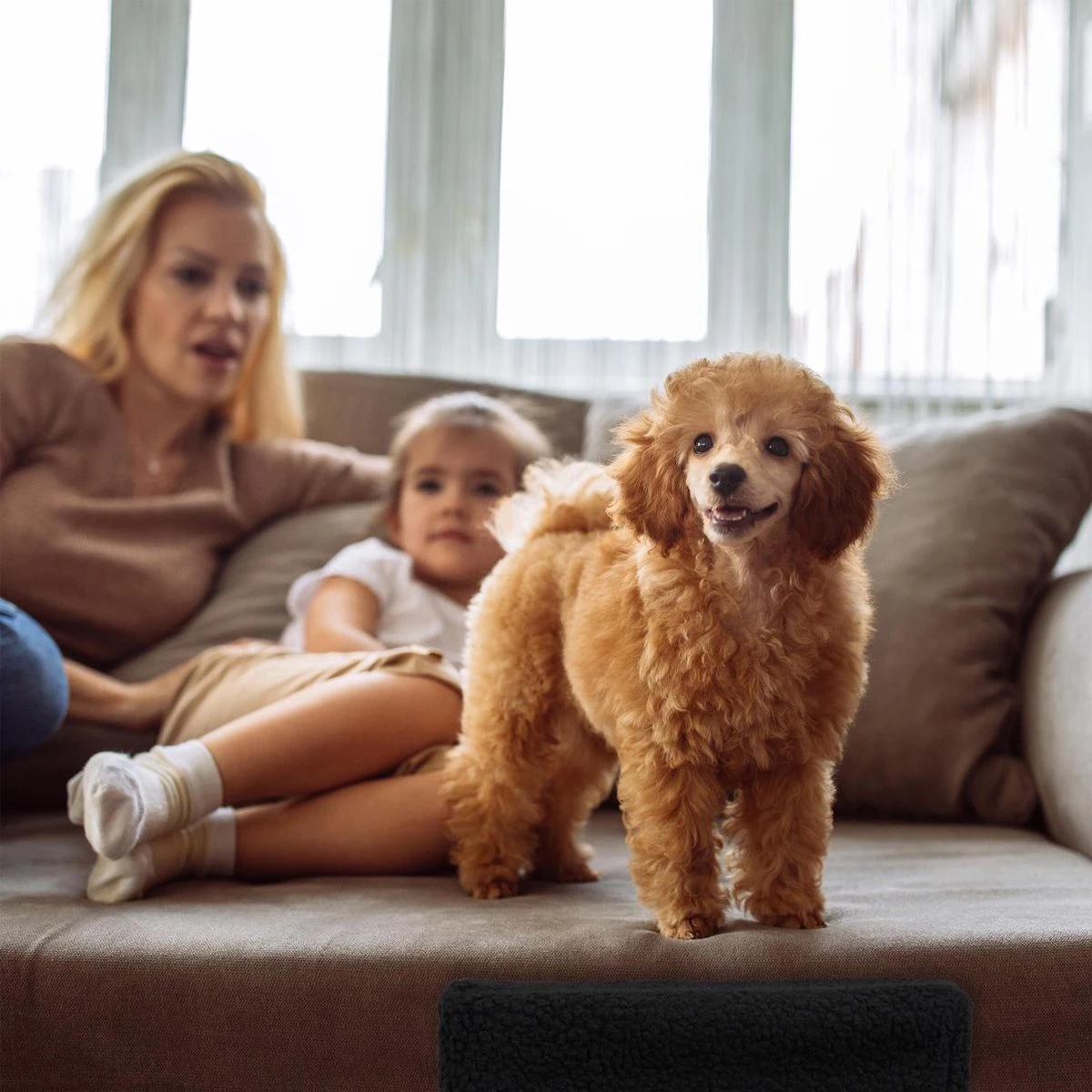 Relaxdays Hondentrap 3 Treden - Trapje Voor Honden - Opstapje Hond - Binnen - Hondentrapje - Zwart 4 Relaxdays Hondentrap 3 Treden - Trapje Voor Honden - Opstapje Hond - Binnen - Hondentrapje - Zwart - Afbeelding 4