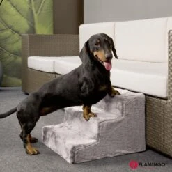 Flamingo - Hondentrap Milo - Grijs - 41 X 43 X 30 Cm 6 Flamingo - Hondentrap Milo - Grijs - 41 X 43 X 30 Cm -Huisdierbenodigdheden 1200x1200 1338