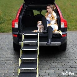 Hondentrap Auto Voor Grote En Kleine Honden PRIORPET - Oplichtende Markering - Opvouwbare Autotrap Voor Stijve Gewrichten - Hondenloopplank Geschikt Voor Alle Auto's - Antislip - 6 Treden -Huisdierbenodigdheden 1200x1200 1340