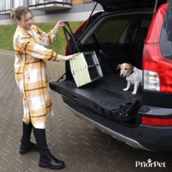 Hondentrap Auto Voor Grote En Kleine Honden PRIORPET - Oplichtende Markering - Opvouwbare Autotrap Voor Stijve Gewrichten - Hondenloopplank Geschikt Voor Alle Auto's - Antislip - 6 Treden -Huisdierbenodigdheden 1200x1200 1343