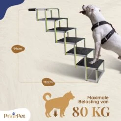 Hondentrap Auto Voor Grote En Kleine Honden PRIORPET - Oplichtende Markering - Opvouwbare Autotrap Voor Stijve Gewrichten - Hondenloopplank Geschikt Voor Alle Auto's - Antislip - 6 Treden -Huisdierbenodigdheden 1200x1200 1344