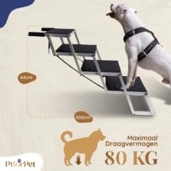Hondentrap Auto Voor Grote En Kleine Honden PRIORPET - Oplichtende Markering - Opvouwbare Autotrap Voor Stijve Gewrichten - Hondenloopplank Geschikt Voor Alle Auto's - Antislip - 4 Treden -Huisdierbenodigdheden 1200x1200 1356
