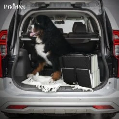 Hondentrap Auto Voor Grote En Kleine Honden PRIORPET - Oplichtende Markering - Opvouwbare Autotrap Voor Stijve Gewrichten - Hondenloopplank Geschikt Voor Alle Auto's - Antislip - 4 Treden -Huisdierbenodigdheden 1200x1200 1358