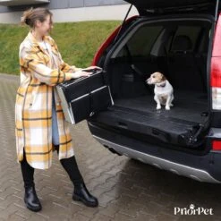 Hondentrap Auto Voor Grote En Kleine Honden PRIORPET - Oplichtende Markering - Opvouwbare Autotrap Voor Stijve Gewrichten - Hondenloopplank Geschikt Voor Alle Auto's - Antislip - 4 Treden -Huisdierbenodigdheden 1200x1200 1362