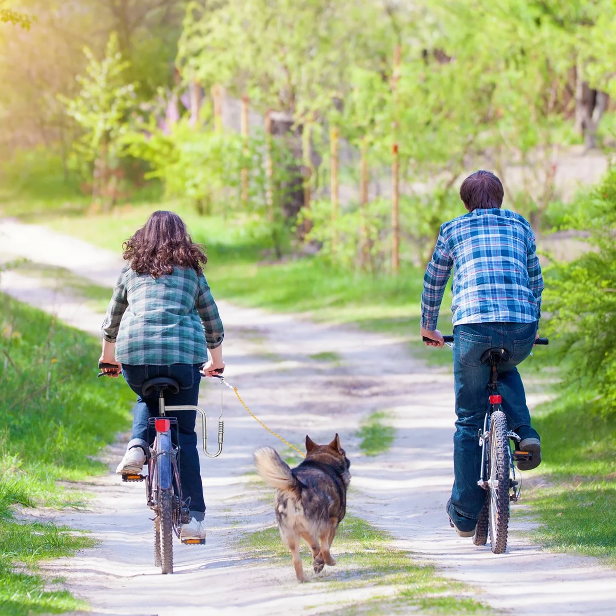 Relaxdays Fietsbeugel Hond - Verstelbare Hondenbeugel - Afstandhouder Fiets Hondenriem 9 Relaxdays Fietsbeugel Hond - Verstelbare Hondenbeugel - Afstandhouder Fiets Hondenriem - Afbeelding 9