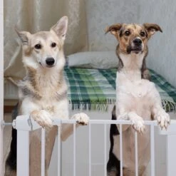 Nobleza 47B4V - Hondenhek - Metaal - H76 X L75-82 Cm - Wit -Huisdierbenodigdheden 1200x1200 1434