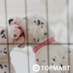 Topmast Puppyren Uitvouwbaar - Zwart - 560 Cm Omtrek - 76 Cm Hoog - Opvouwbaar - Expandable XL - Hondenren -Huisdierbenodigdheden 1200x1200 1449