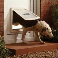 Petsafe 760 Hondenluik - L - Wit - 37 X 31,4 Cm -Huisdierbenodigdheden 1200x1200 1457