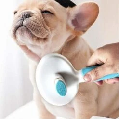 Merkloos Dierenborstel - Haarborstel Huisdieren - Borstel Voor Vacht Huisdier - Borstel Kat - Borstel Hond - Makkelijk Haar Verwijderen Met één Klik - Inclusief Speeltje - Kam Huisdier - Vachtverzorging - Massage -Huisdierbenodigdheden 1200x1200 149