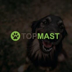 Merkloos Topmast Premium Puppyren - 120 Cm Hoog - 640 Cm Omtrek - Hondenren - Hondenhok - Zwart -Huisdierbenodigdheden 1200x1200 1538