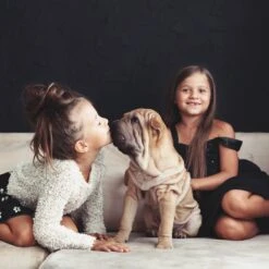 Relaxdays Puppyren - Hondenren - Puppykennel - Konijnenren - Bodem - Metaal - Div. Grootte - M -Huisdierbenodigdheden 1200x1200 1541