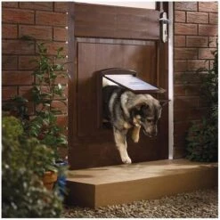 Petsafe 757 Hondenluik - Medium - Zilver/Tranparant -Huisdierbenodigdheden 1200x1200 1547