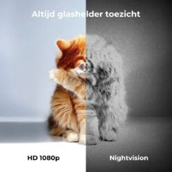 Pettadore Nutri View - Voerautomaat Kat/Hond - Smart Met Camera En App - Wit - 3.7 L -Huisdierbenodigdheden 1200x1200 1572