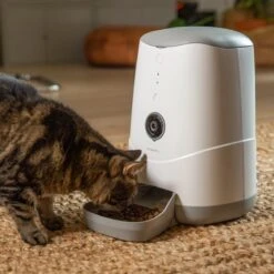 Pettadore Nutri View - Voerautomaat Kat/Hond - Smart Met Camera En App - Wit - 3.7 L -Huisdierbenodigdheden 1200x1200 1580