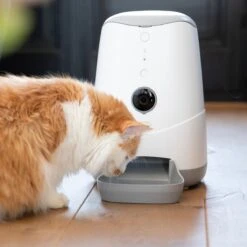 Pettadore Nutri View - Voerautomaat Kat/Hond - Smart Met Camera En App - Wit - 3.7 L -Huisdierbenodigdheden 1200x1200 1581
