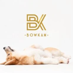 Bowkam Automatische Voerautomaat - Voerbak - Voerautomaat - Voerbak Kat - Voerbak Hond - Wit - Met Voice Recording -Huisdierbenodigdheden 1200x1200 1593