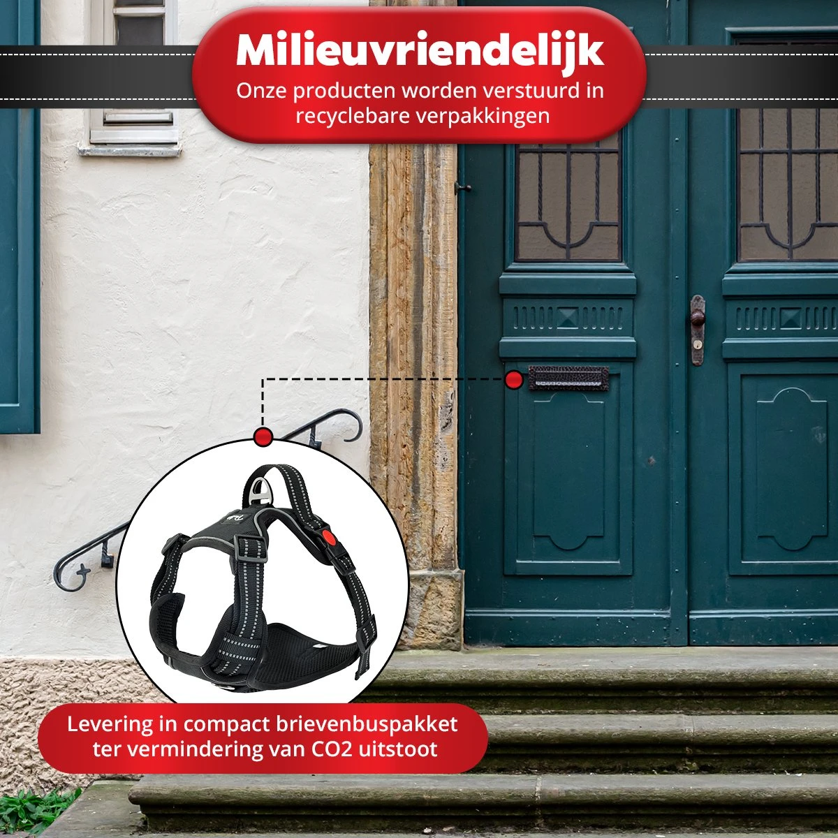 Purrr Fect Hondentuigje - Anti-Trek Tuig - Hondenharnas - Y Tuig Hond - Waterproof - Reflecterend - Verstelbaar - Maat L 2 Purrr Fect Hondentuigje - Anti-Trek Tuig - Hondenharnas - Y Tuig Hond - Waterproof - Reflecterend - Verstelbaar - Maat L - Afbeelding 2