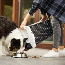 Rotho Voedselcontainer CODY - Voeropslag - 50l - Zwart 16 Rotho Voedselcontainer CODY - Voeropslag - 50l - Zwart -Huisdierbenodigdheden 1200x1200 1622