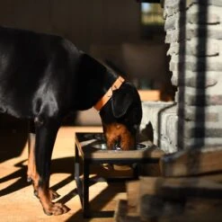 Lord Lou Honden Voerbak - Dubbele Eetbak - Roma S 33x17x8 -Huisdierbenodigdheden 1200x1200 1623