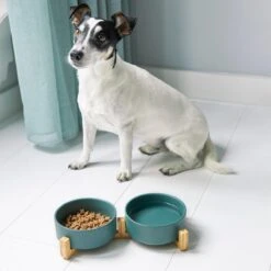 Voerbak Hond - Voerbak Kat - Drinkbak - Met Bamboe Standaard - 2x 400 Ml - Maat S - Groen Mat -Huisdierbenodigdheden 1200x1200 1631