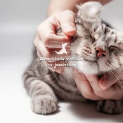 Loyalpetclub® Filter Drinkfontein Kat 6 Stuks – Koolstoffilter Drinkfontein Katten – Waterfontein Kat Navulling Set – Kattenfontein Filters -Huisdierbenodigdheden 1200x1200 1636