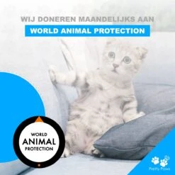 Pretty Paws PP097 Professionele Drink Fontein Kat - Poezen Fontein Met Filter - Waterfontein Kat - Katten Fontein - Dieren Drinkbak -Huisdierbenodigdheden 1200x1200 1661