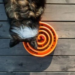 Outward Hound Slo Bowl Fun Feeder Voerbak - Anti Schrok Voerbak - Voerbak Slo-Bowl Mini Drop Teal Lichtblauw - 22X22X5 CM -Huisdierbenodigdheden 1200x1200 1666