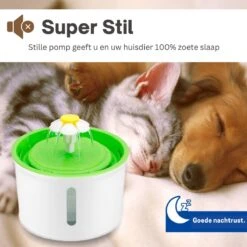 Waterfontein Kat & Hond - Drinkfontein - Waterfilter - 1.6L Inhoud - Waterbak En Waterfontein - Drinkbak - Kat - Waterdispenser 13 Waterfontein Kat & Hond - Drinkfontein - Waterfilter - 1.6L Inhoud - Waterbak En Waterfontein - Drinkbak - Kat - Waterdispenser -Huisdierbenodigdheden 1200x1200 1736