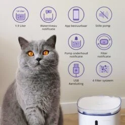 Pettadore Hydrate Compact - Drinkfontein Kat/Hond - Slimme Waterfontein Met App - 1,9L -Huisdierbenodigdheden 1200x1200 1763