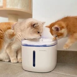 Pettadore Hydrate Compact - Drinkfontein Kat/Hond - Slimme Waterfontein Met App - 1,9L -Huisdierbenodigdheden 1200x1200 1764