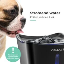 Cellavi XL Drinkfontein Kat En Hond Met 3 In 1 Waterfilter – Kattenfontein 3L – Kamerfontein – Waterdispenser – Waterfontein Kat – Super Stil -Huisdierbenodigdheden 1200x1200 1785