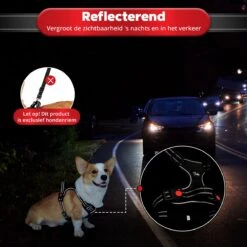 Purrr Fect Hondentuigje - Anti-Trek Tuig - Hondenharnas - Y Tuig Hond - Waterproof - Reflecterend - Verstelbaar - Maat L 17 Purrr Fect Hondentuigje - Anti-Trek Tuig - Hondenharnas - Y Tuig Hond - Waterproof - Reflecterend - Verstelbaar - Maat L -Huisdierbenodigdheden 1200x1200 18