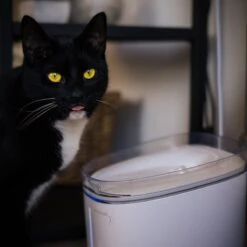 Pettadore Hydrate Ultra - Drinkfontein Kat/Hond - Smart & UV Sterilisatie - 2L -Huisdierbenodigdheden 1200x1200 1823