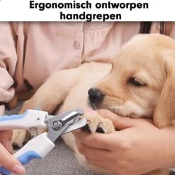 Professionele Nagelschaar|Nagelschaar Hond | Nagelschaar Kat| Nagelknipper Hond En Kat| Nagelknipper Kat| Nagelknipper Hond|NagelTang Dieren|Poot Verzorging -Huisdierbenodigdheden 1200x1200 184