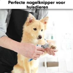 Professionele Nagelschaar|Nagelschaar Hond | Nagelschaar Kat| Nagelknipper Hond En Kat| Nagelknipper Kat| Nagelknipper Hond|NagelTang Dieren|Poot Verzorging -Huisdierbenodigdheden 1200x1200 186