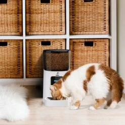 Pawsy® AR1 - Automatische Voerbak – Automatische Voerautomaat - Voerbak Kat En Hond - Wit - 6L - Smart App – Instelbaar Voedingsschema Voor Huisdier – GRATIS Opscheplepel -Huisdierbenodigdheden 1200x1200 1865