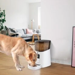 Pawsy® AR1 - Automatische Voerbak – Automatische Voerautomaat - Voerbak Kat En Hond - Wit - 6L - Smart App – Instelbaar Voedingsschema Voor Huisdier – GRATIS Opscheplepel -Huisdierbenodigdheden 1200x1200 1866