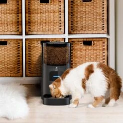 Pawsy® AR1 - Automatische Voerbak – Automatische Voederbak Kat - Kattenvoerautomaat - Voerdispenser - Zwart - 6L - Smart App – Instelbaar Voedingsschema Voor Huisdier – GRATIS Opscheplepel -Huisdierbenodigdheden 1200x1200 1883