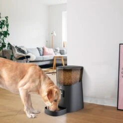 Pawsy® AR1 - Automatische Voerbak – Automatische Voederbak Kat - Kattenvoerautomaat - Voerdispenser - Zwart - 6L - Smart App – Instelbaar Voedingsschema Voor Huisdier – GRATIS Opscheplepel -Huisdierbenodigdheden 1200x1200 1884