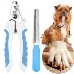 Professionele Nagelschaar|Nagelschaar Hond | Nagelschaar Kat| Nagelknipper Hond En Kat| Nagelknipper Kat| Nagelknipper Hond|NagelTang Dieren|Poot Verzorging -Huisdierbenodigdheden 1200x1200 189