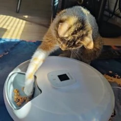 Pettadore Nutri Turn - Voerautomaat Kat/Hond - Smart Met App - 6 Maaltijden Nat En Droogvoer -Huisdierbenodigdheden 1200x1200 1907