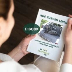 De Blaffende Kat Wasdrogerbollen - Droger Ballen - Huisdier Haarverwijderaar - 4 Wasbollen Voor Wasmachine En Droger 10 De Blaffende Kat Wasdrogerbollen - Droger Ballen - Huisdier Haarverwijderaar - 4 Wasbollen Voor Wasmachine En Droger -Huisdierbenodigdheden 1200x1200 192