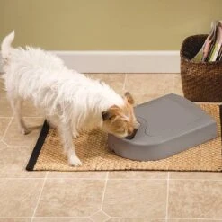 Petsafe Eatwell Automatische-voerbak Voor Vijf Maaltijden - BPA Vrij -Huisdierbenodigdheden 1200x1200 1933