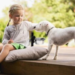 Relaxdays Hondenvoerbak Op Standaard - In Hoogte Verstelbaar - Dubbele Voerbak - Hondenbak - 2 X 2,15 Liter -Huisdierbenodigdheden 1200x1200 1941