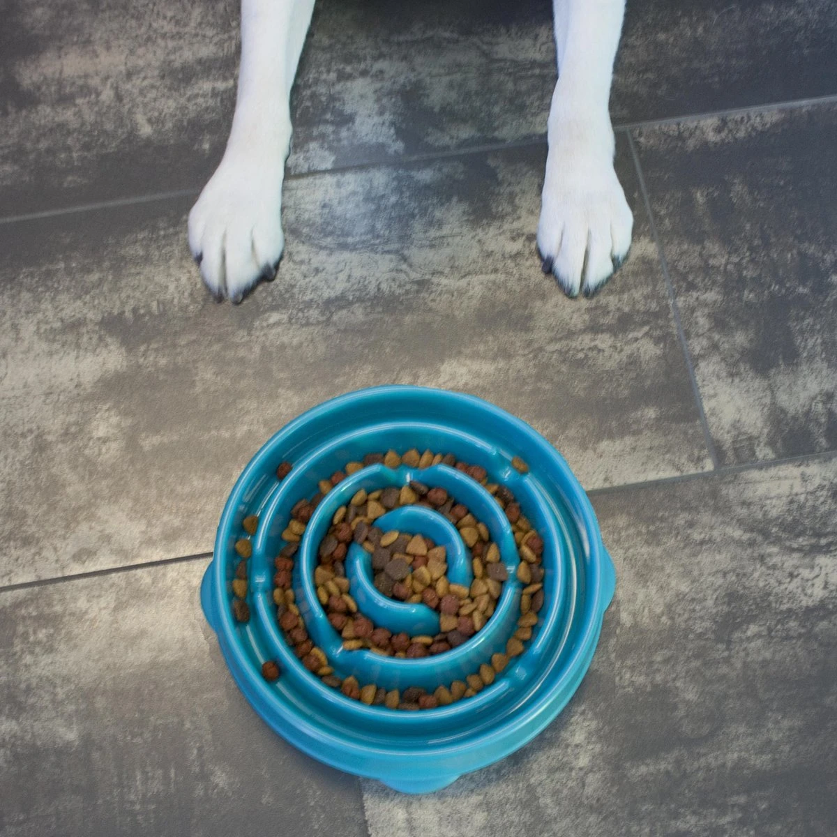 Anti Schrok Voerbak - Lichtblauw - Ø 28 Cm 1 Anti Schrok Voerbak - Lichtblauw - Ø 28 Cm