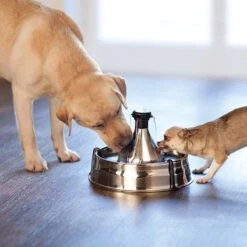 PetSafe Drinkwell 360 -Huisdierbenodigdheden 1200x1200 1981