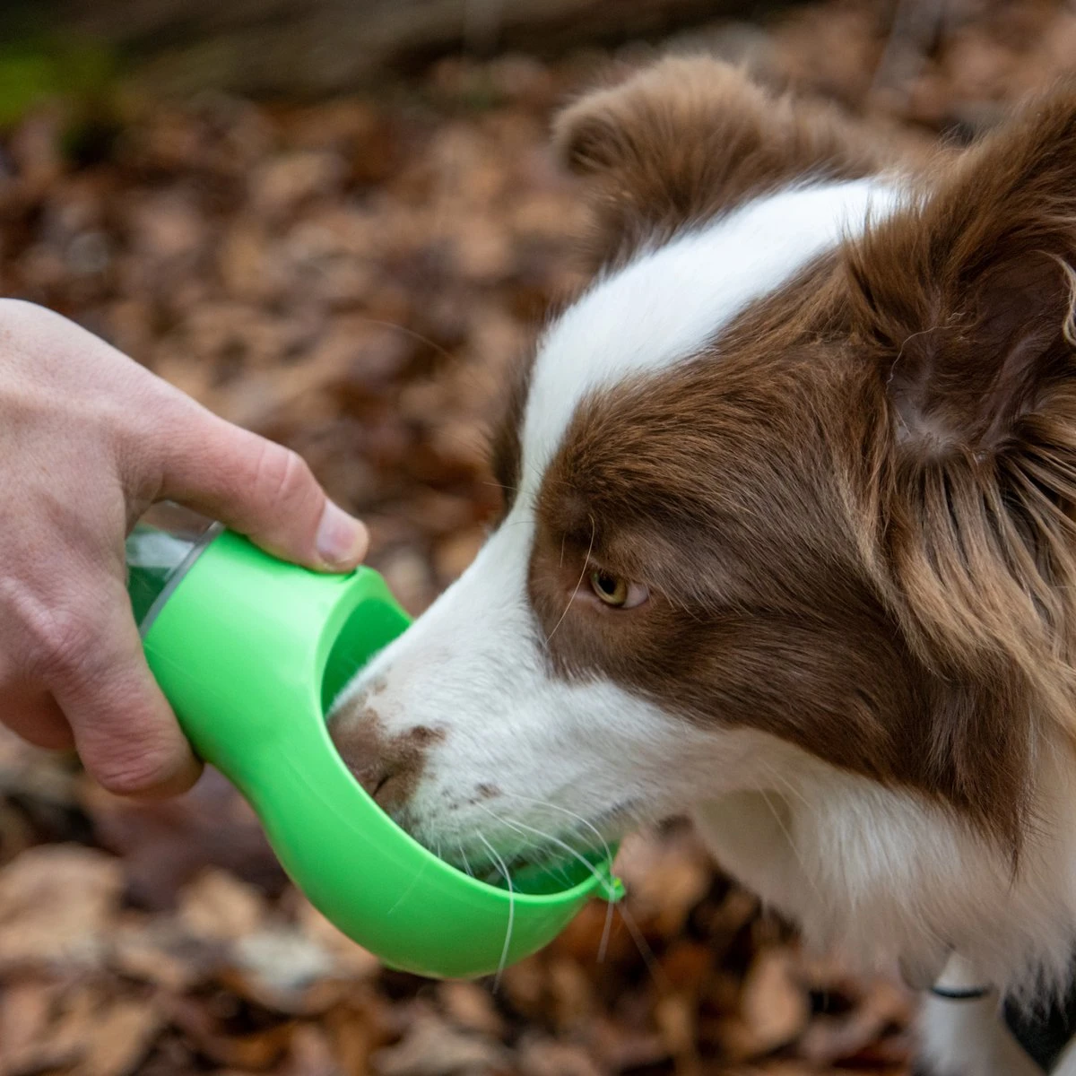 Mister Mill Drinkfles Hond - Honden Bidon - Waterfles - 500ML + 50ML Voeropslag + Poepzakjes Container 5 Mister Mill Drinkfles Hond - Honden Bidon - Waterfles - 500ML + 50ML Voeropslag + Poepzakjes Container - Afbeelding 5