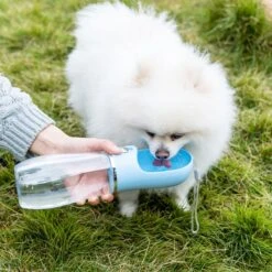 Nobleza 43B4C - Honden Waterfles - 500ml - Honden Bidon - Honden Drinkfles - Blauw 16 Nobleza 43B4C - Honden Waterfles - 500ml - Honden Bidon - Honden Drinkfles - Blauw -Huisdierbenodigdheden 1200x1200 1994