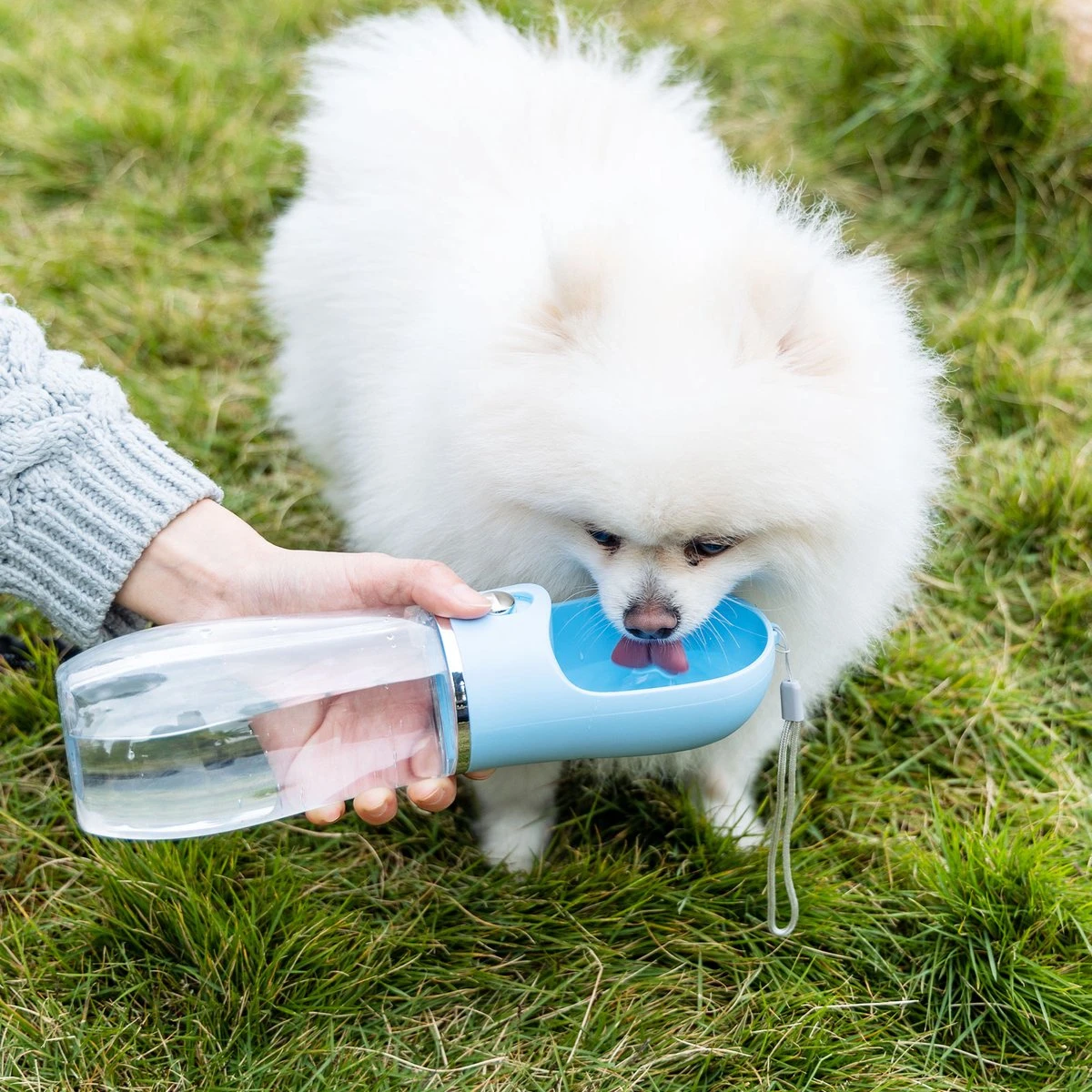 Nobleza 43B4C - Honden Waterfles - 500ml - Honden Bidon - Honden Drinkfles - Blauw 7 Nobleza 43B4C - Honden Waterfles - 500ml - Honden Bidon - Honden Drinkfles - Blauw - Afbeelding 7
