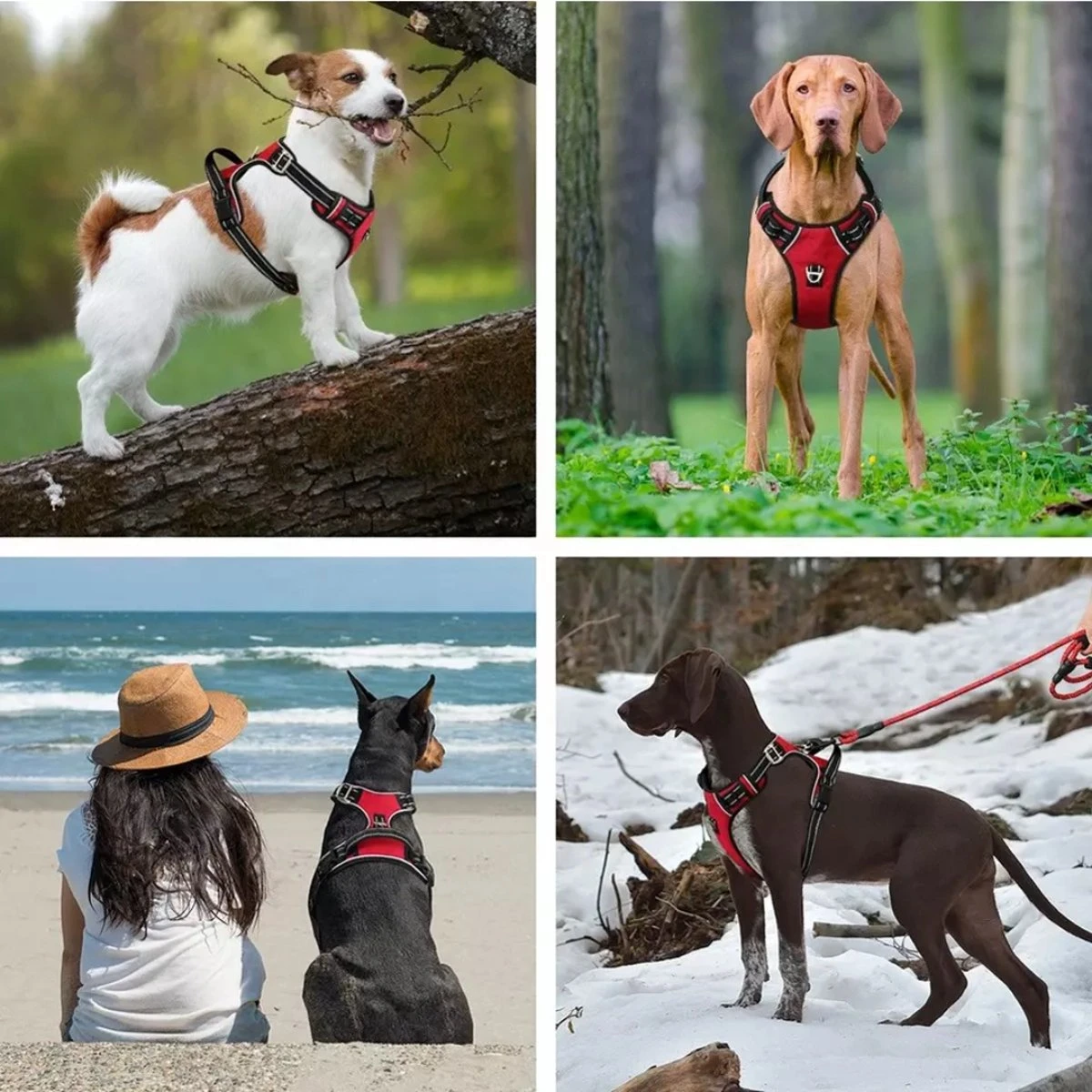 Hondenharnas – Inclusief Hondenriem – Reflecterend – Hondentuig – Hondenriem – Y Tuig Hond - Anti Trek Tuig - Zwart – Maat M 4 Hondenharnas – Inclusief Hondenriem – Reflecterend – Hondentuig – Hondenriem – Y Tuig Hond - Anti Trek Tuig - Zwart – Maat M - Afbeelding 4